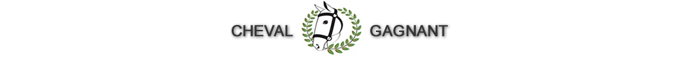 logo horsewinner